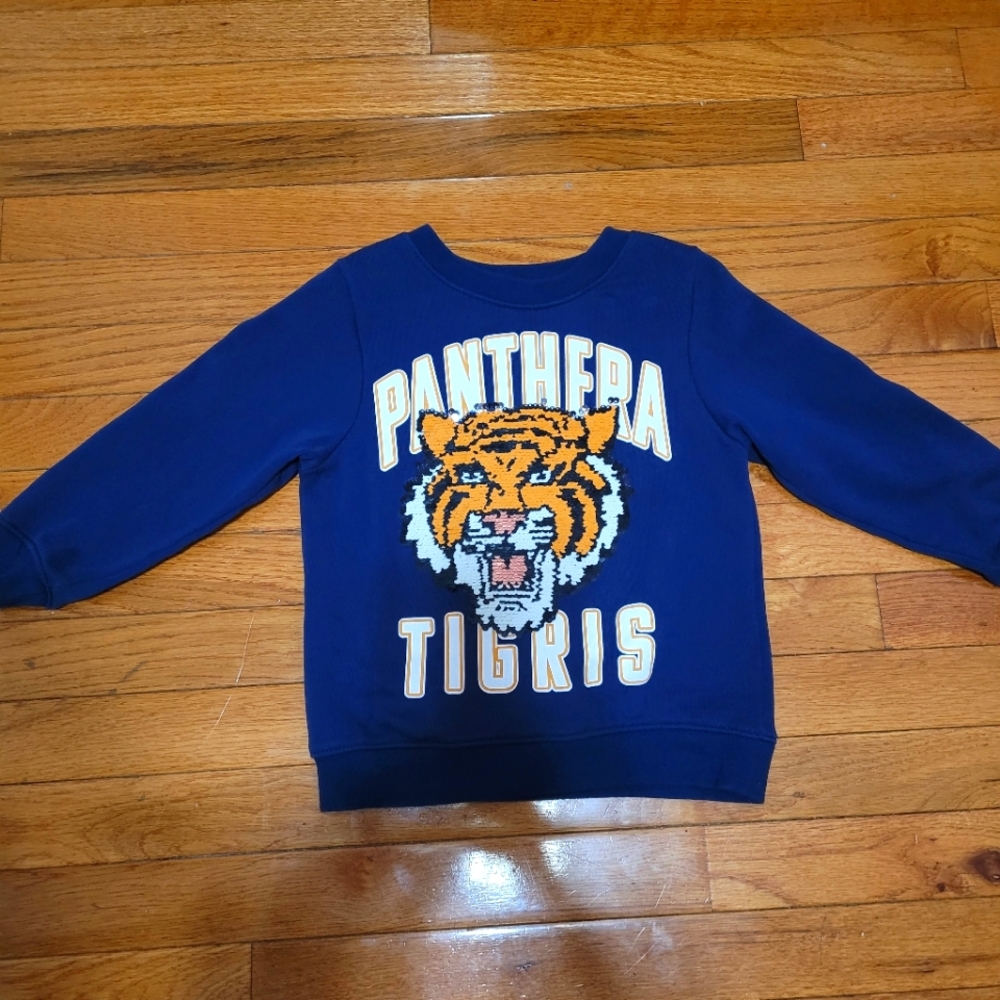 Kids H&M sweater blue color changing sequins size 5T/6